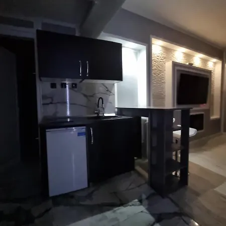Luxury Apartment *